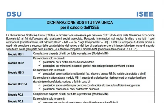 dsu-isee.jpg